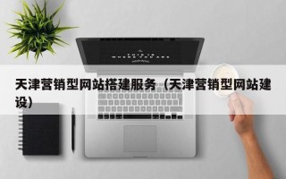 漳浦天津营销型网站搭建服务（天津营销型网站建设）